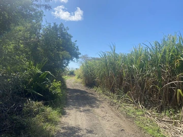 Agricultural Land