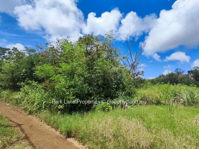 For Sale – 4,206 m² Residential Land in Petit Raffray