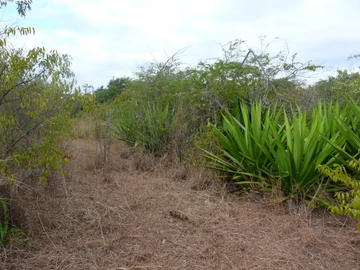 Residential Land