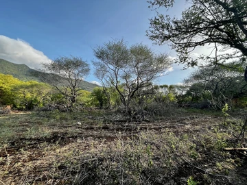 Residential Land
