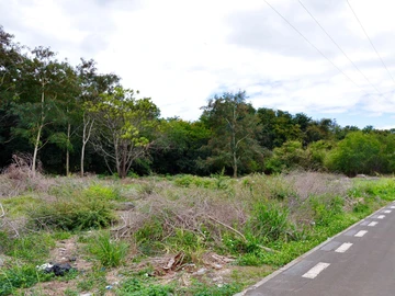 Residential Land