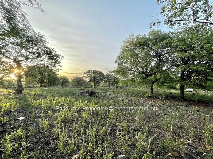 Strategic Investment Opportunity – 1,213 m² Freehold Plot Adjacent To Domaine De Palmyre