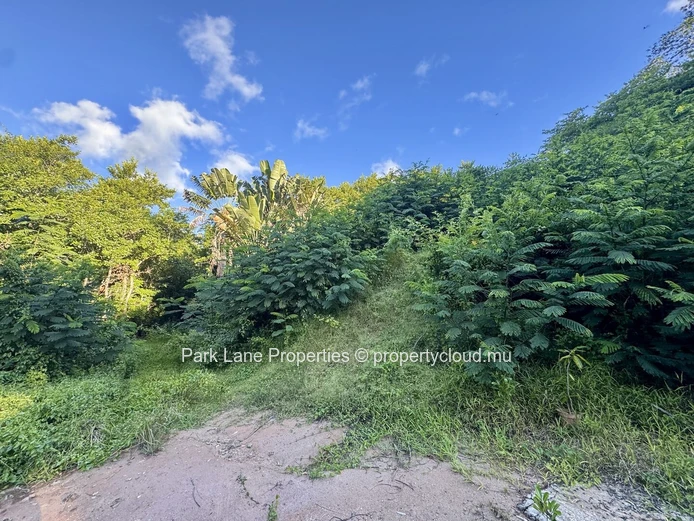 Agricultural plot for sale in Chamarel