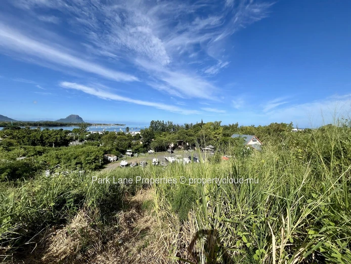 Prime Land in Plantation Marguery, Black River (Sole Mandate)