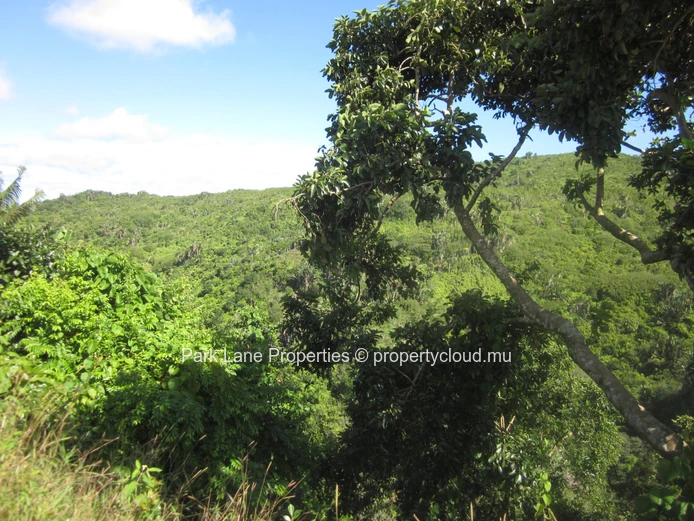 2057 m² à Avalon – Terrain paisible niché dans la verdure, proche du golf