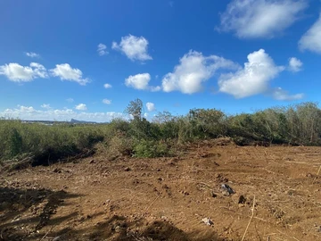 Residential Land