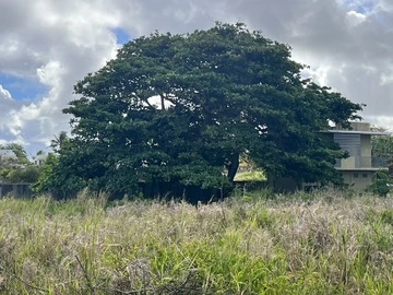 Residential Land