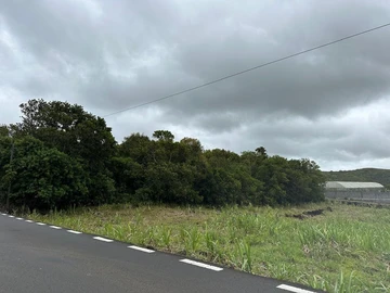 Agricultural Land