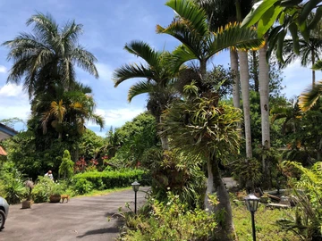 Residential Land