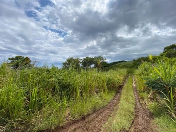 Agricultural Land