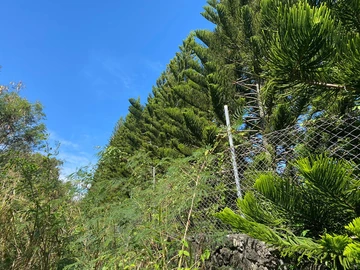 Residential Land