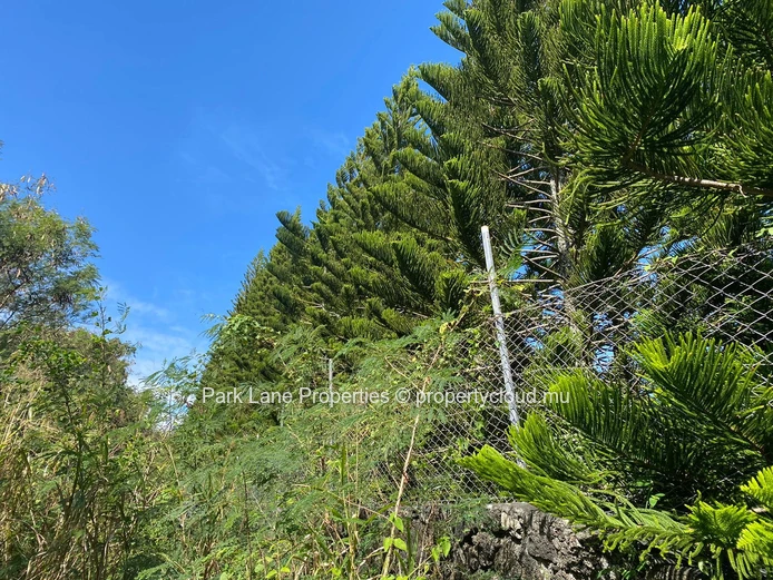 Beautiful plot of agricultural land with development possibilities! 