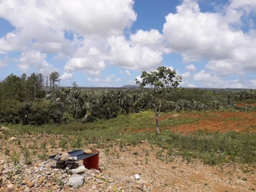 Agricultural Land