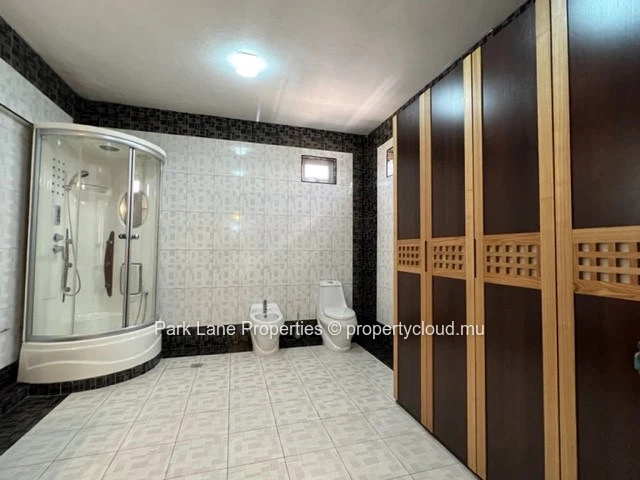 Modern penthouse in Vieux Quatre Bornes - large terrace and parking