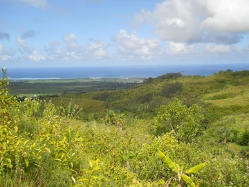 Agricultural Land