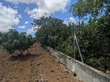Residential Land