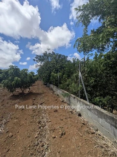 For Sale – 4,206 m² Residential Land in Petit Raffray