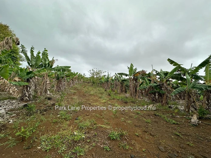 Terrain agricole à vendre – Domaine d’Elaine
