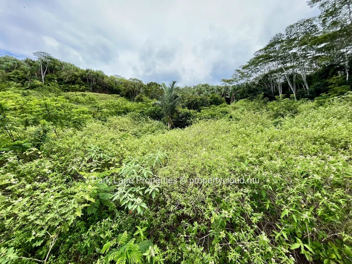 Chamarel - Paix, espace et beauté naturelle tout autour