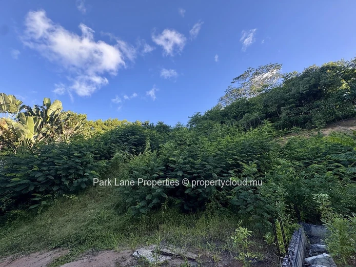Agricultural plot for sale in Chamarel