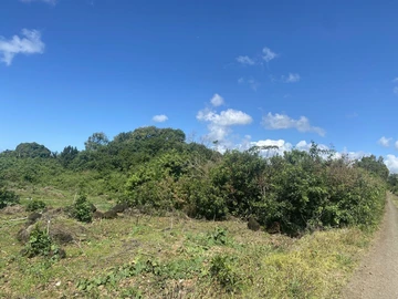 Agricultural Land