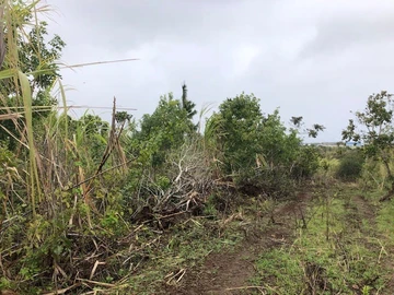 Agricultural Land