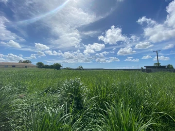 Residential Land