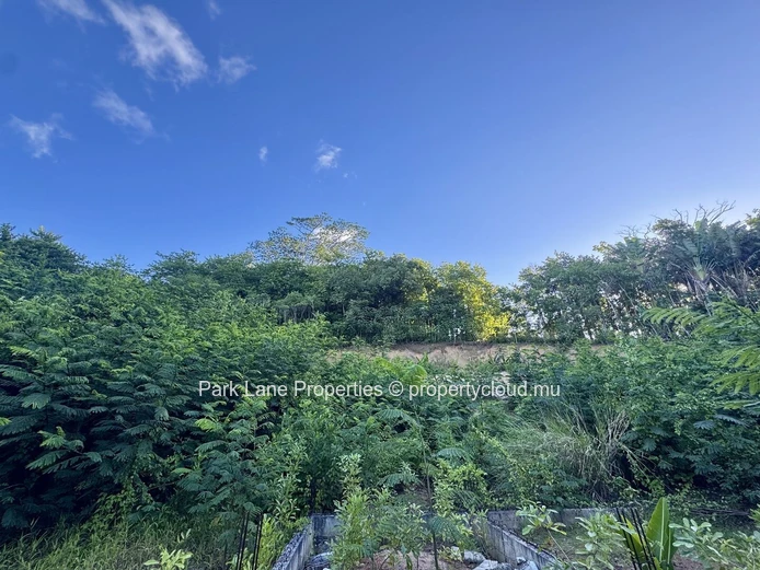 Agricultural plot for sale in Chamarel