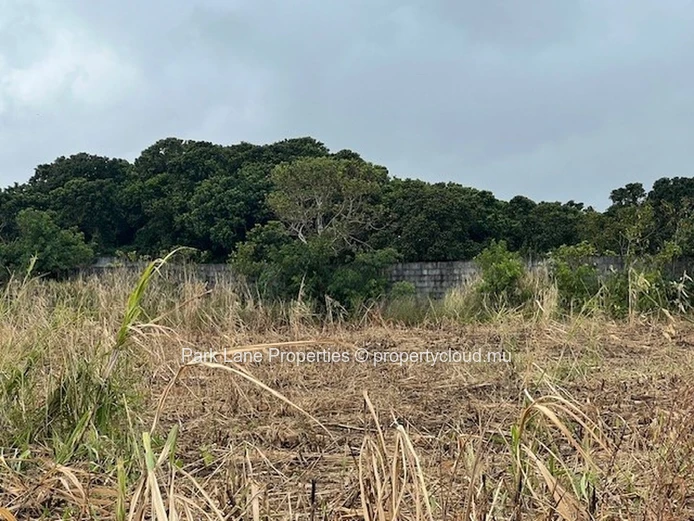 Potentiel de Transformation : Terres Agricoles de Trianon Près de l'Autoroute vers Verdun
