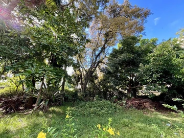 Residential Land