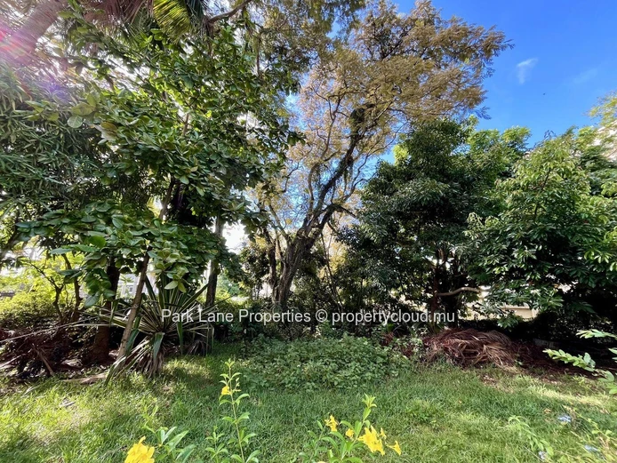 Corner plot for development - Fantastic opportunity