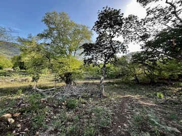 Residential Land