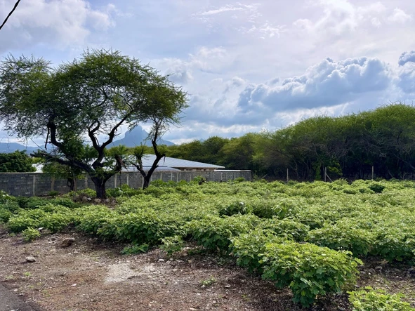 Residential Land