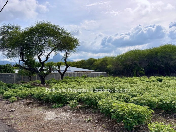 A Rare Opportunity to Build Your Dream Home in the Heart of Tamarin
