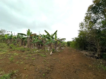 Agricultural Land