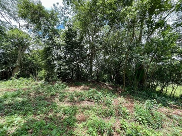 Agricultural Land