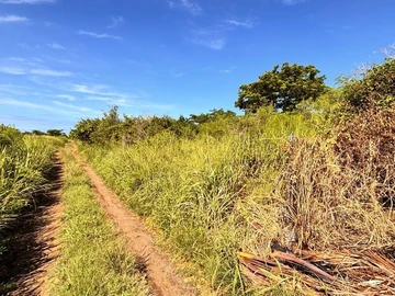Residential Land