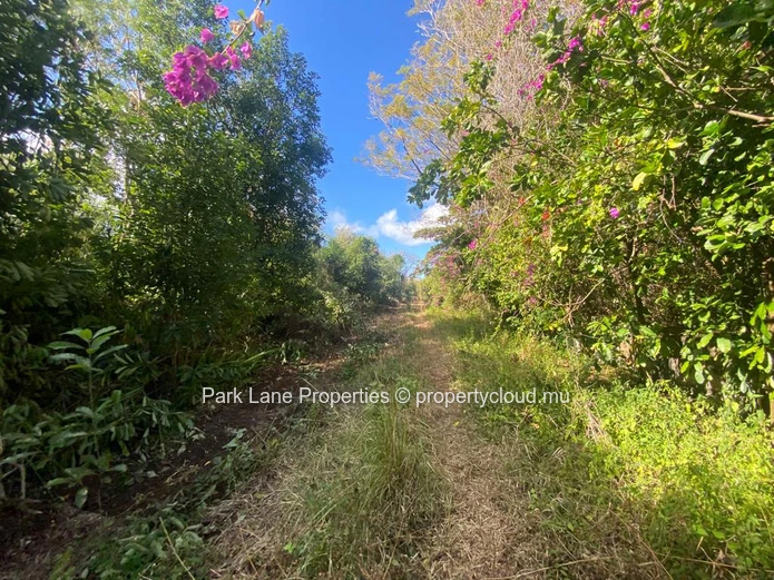 Beautiful plot of agricultural land with development possibilities! 