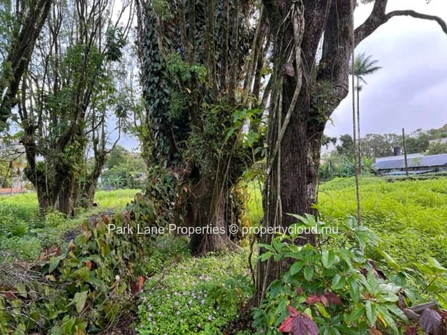 Prime development opportunity – 1.4 Acres in the heart of Curepipe