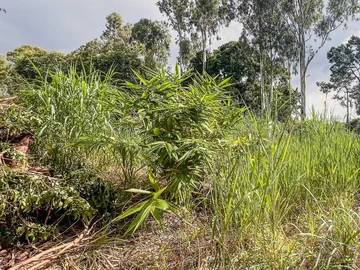 Residential Land