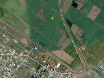Agricultural Land