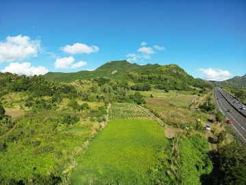 Agricultural Land