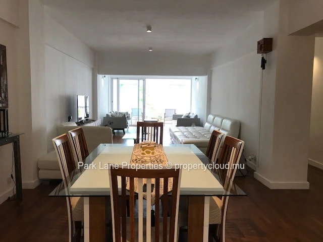 Stylish renovated apartment with terrace in Floreal 