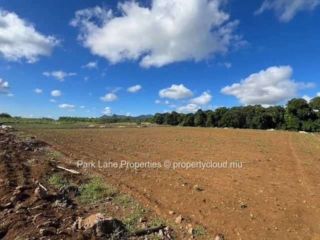 Exceptional investment opportunity: strategically located agricultural land in Valentina