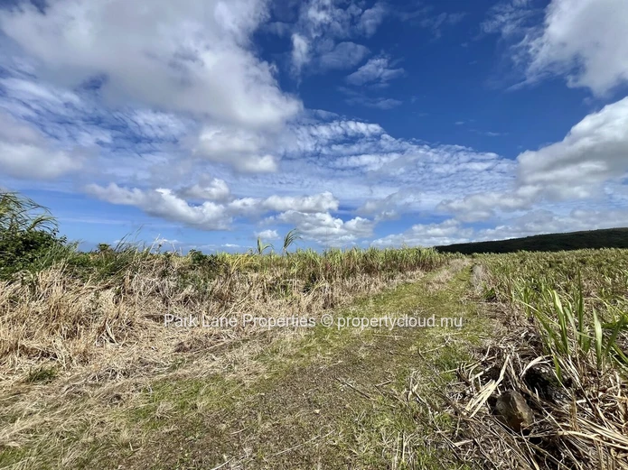 Terrain Agricole à Vendre à Chamouny, Île Maurice – 20,80 Arpents