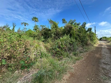 Residential Land