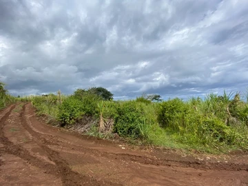 Agricultural Land