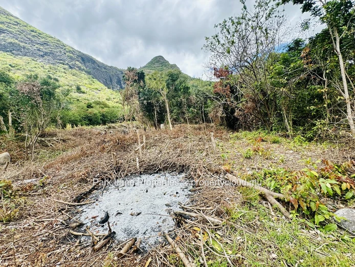 Terrain agricole à vendre à Moka