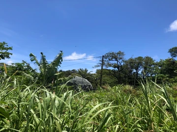 Residential Land