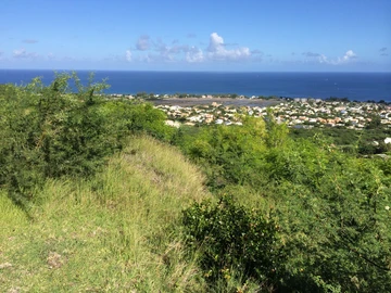 Residential Land
